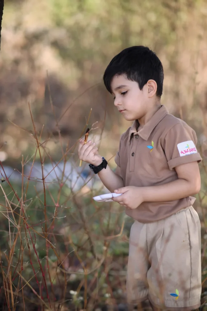 Curious boy discovering nature outdoors at Williez Preschool, India